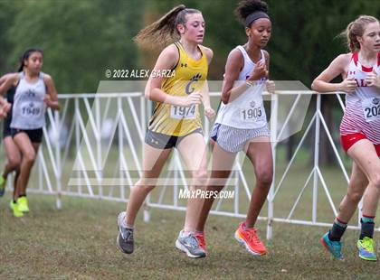 Thumbnail 3 in UIL Cross Country 4A Final 3200M photogallery.