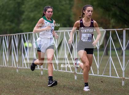 Thumbnail 3 in UIL Cross Country 4A Final 3200M photogallery.