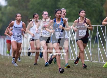 Thumbnail 2 in UIL Cross Country 4A Final 3200M photogallery.