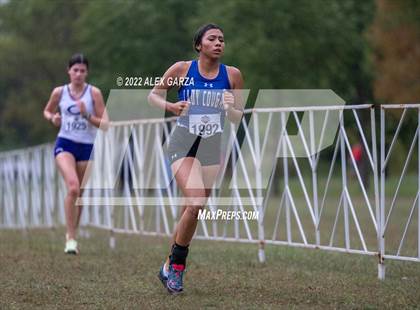 Thumbnail 2 in UIL Cross Country 4A Final 3200M photogallery.