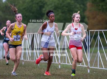 Thumbnail 3 in UIL Cross Country 4A Final 3200M photogallery.