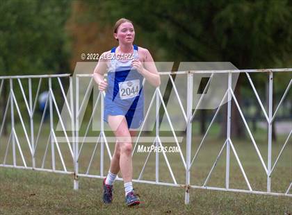 Thumbnail 2 in UIL Cross Country 4A Final 3200M photogallery.