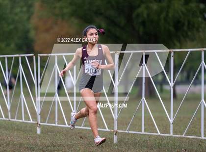 Thumbnail 1 in UIL Cross Country 4A Final 3200M photogallery.