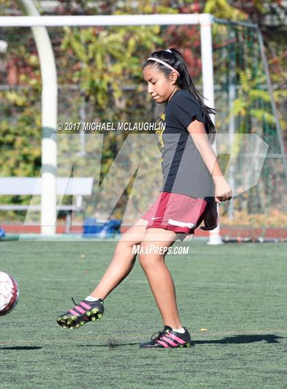 Thumbnail 2 in Curtis vs. New Utrecht (PSAL Division A Round 1) photogallery.