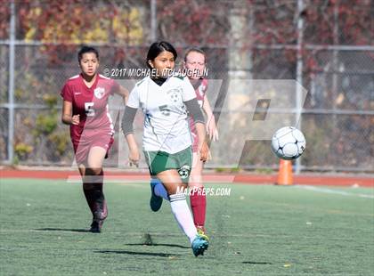 Thumbnail 1 in Curtis vs. New Utrecht (PSAL Division A Round 1) photogallery.