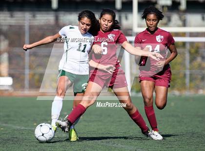 Thumbnail 1 in Curtis vs. New Utrecht (PSAL Division A Round 1) photogallery.