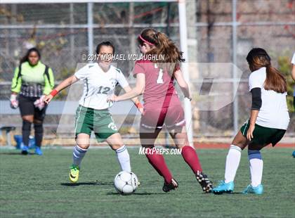 Thumbnail 2 in Curtis vs. New Utrecht (PSAL Division A Round 1) photogallery.