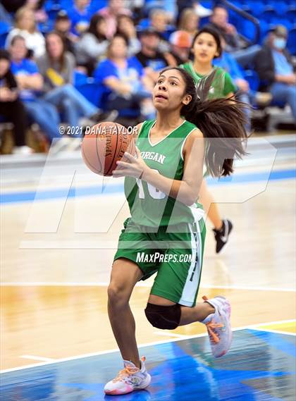 Thumbnail 1 in Morgan @ Huckabay photogallery.