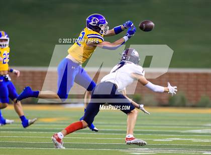 Thumbnail 1 in Brock @ Wimberley photogallery.