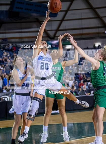 Thumbnail 3 in Woodinville vs. Central Valley (WIAA 4A Final)  photogallery.