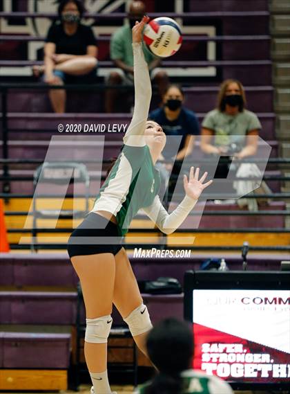 Thumbnail 2 in Basha @ Hamilton photogallery.