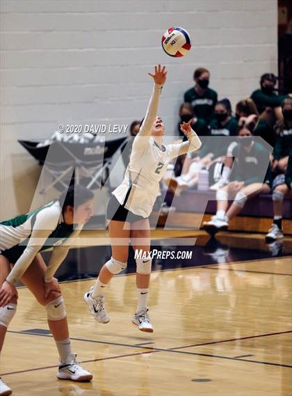 Thumbnail 3 in Basha @ Hamilton photogallery.