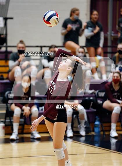 Thumbnail 1 in Basha @ Hamilton photogallery.