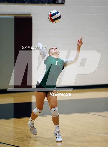 Thumbnail 2 in Basha @ Hamilton photogallery.