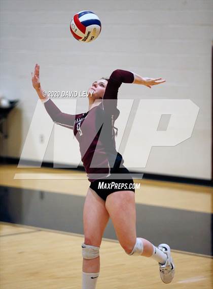 Thumbnail 2 in Basha @ Hamilton photogallery.
