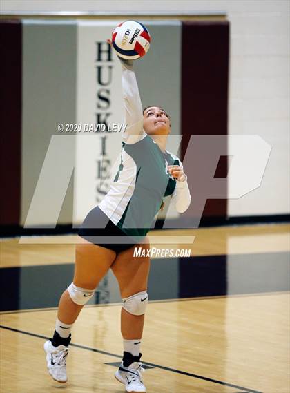 Thumbnail 3 in Basha @ Hamilton photogallery.