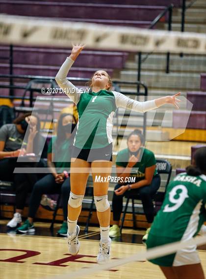 Thumbnail 1 in Basha @ Hamilton photogallery.