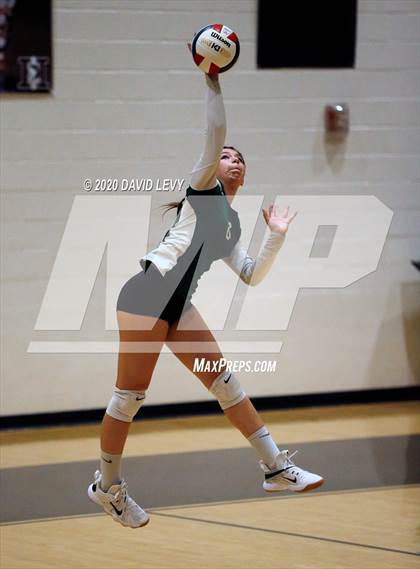 Thumbnail 3 in Basha @ Hamilton photogallery.