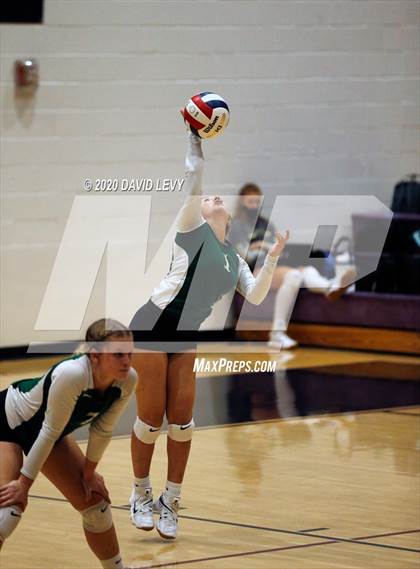 Thumbnail 2 in Basha @ Hamilton photogallery.