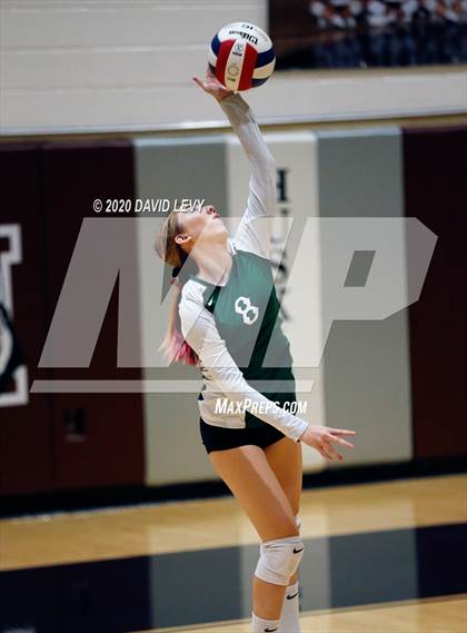 Thumbnail 3 in Basha @ Hamilton photogallery.