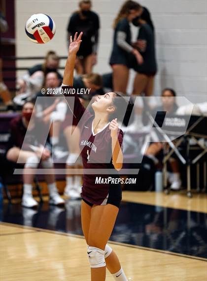 Thumbnail 1 in Basha @ Hamilton photogallery.
