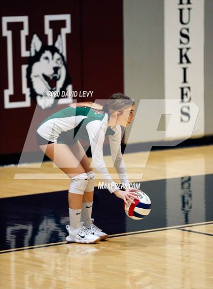 Thumbnail 2 in Basha @ Hamilton photogallery.