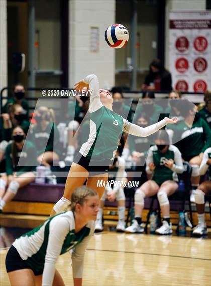 Thumbnail 2 in Basha @ Hamilton photogallery.