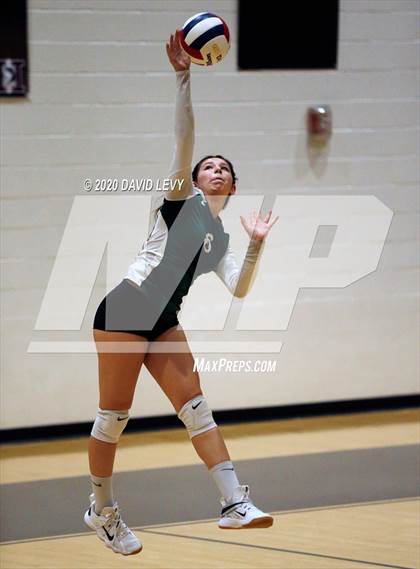 Thumbnail 2 in Basha @ Hamilton photogallery.