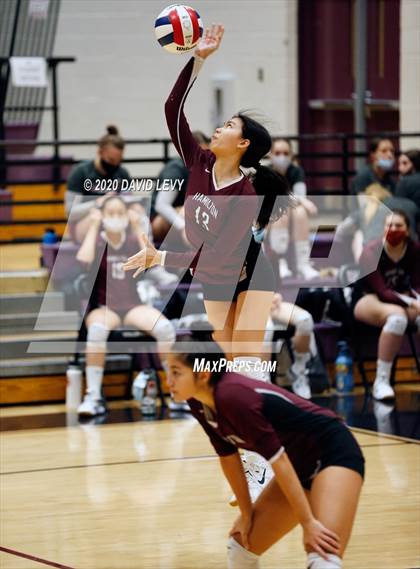 Thumbnail 2 in Basha @ Hamilton photogallery.