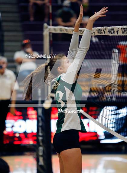 Thumbnail 1 in Basha @ Hamilton photogallery.