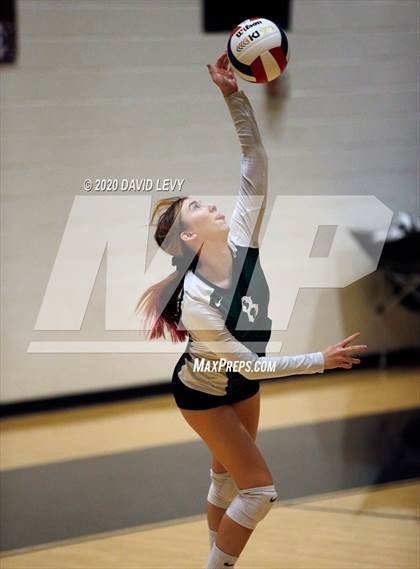 Thumbnail 1 in Basha @ Hamilton photogallery.