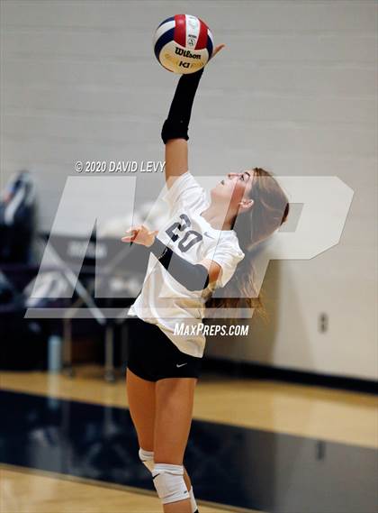 Thumbnail 1 in Basha @ Hamilton photogallery.
