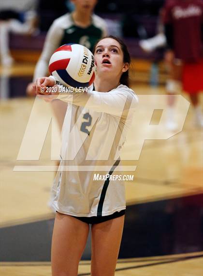 Thumbnail 2 in Basha @ Hamilton photogallery.