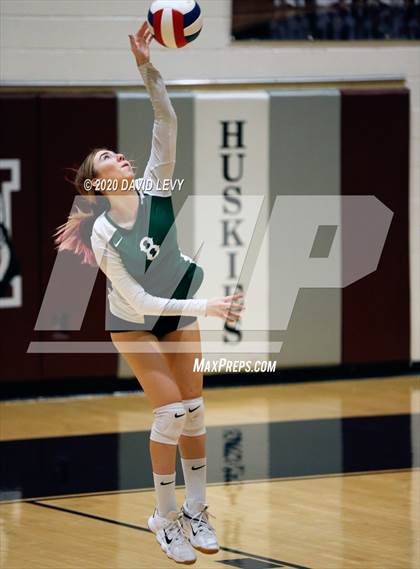 Thumbnail 2 in Basha @ Hamilton photogallery.