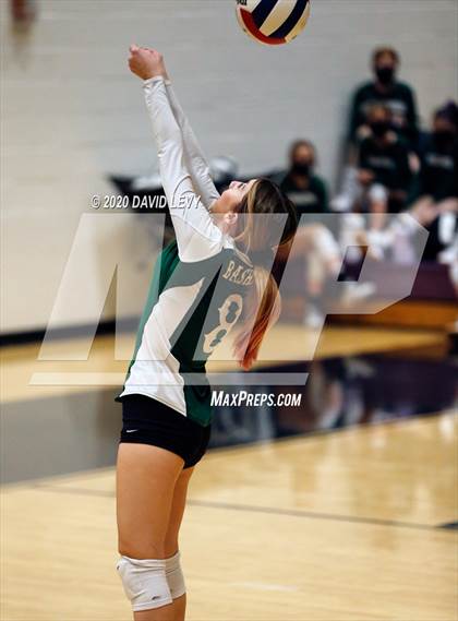 Thumbnail 2 in Basha @ Hamilton photogallery.