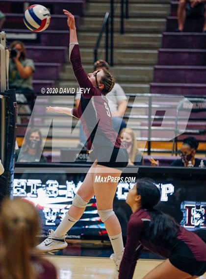 Thumbnail 2 in Basha @ Hamilton photogallery.