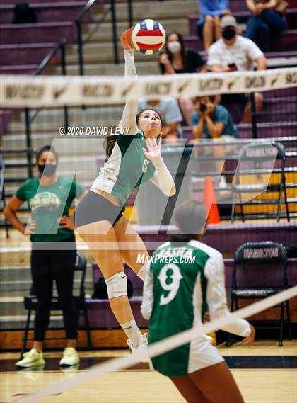 Thumbnail 1 in Basha @ Hamilton photogallery.