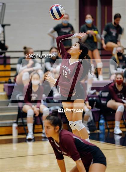Thumbnail 3 in Basha @ Hamilton photogallery.