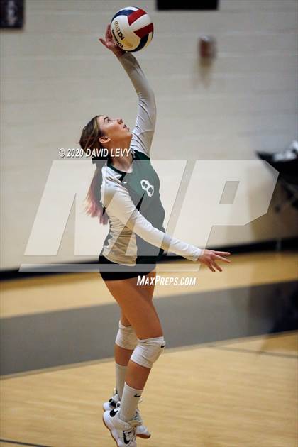 Thumbnail 3 in Basha @ Hamilton photogallery.
