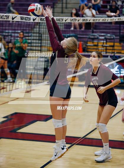 Thumbnail 1 in Basha @ Hamilton photogallery.
