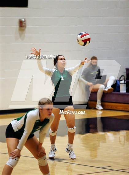Thumbnail 2 in Basha @ Hamilton photogallery.