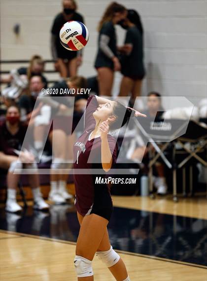 Thumbnail 3 in Basha @ Hamilton photogallery.