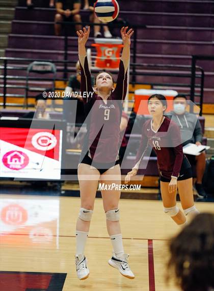 Thumbnail 2 in Basha @ Hamilton photogallery.