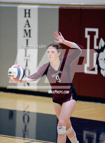 Thumbnail 3 in Basha @ Hamilton photogallery.