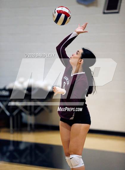 Thumbnail 1 in Basha @ Hamilton photogallery.