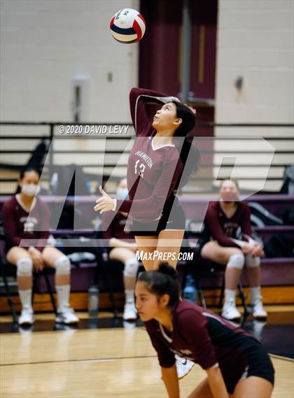 Thumbnail 3 in Basha @ Hamilton photogallery.