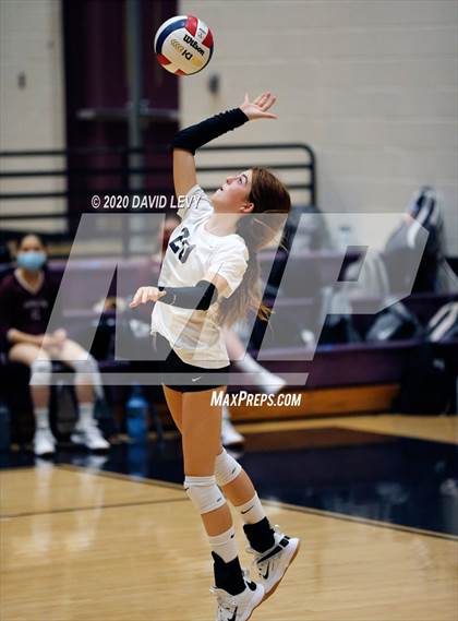 Thumbnail 3 in Basha @ Hamilton photogallery.