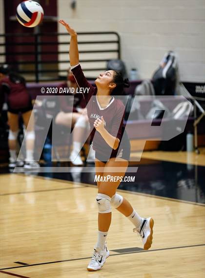 Thumbnail 3 in Basha @ Hamilton photogallery.