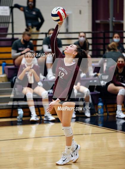 Thumbnail 1 in Basha @ Hamilton photogallery.