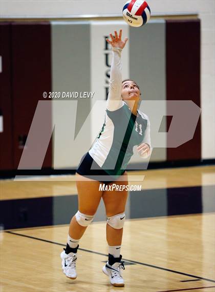 Thumbnail 3 in Basha @ Hamilton photogallery.